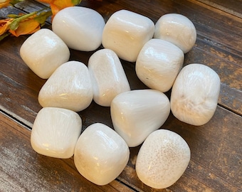 May include: A collection of ten white tumbled stones with a smooth, polished finish. The stones have a subtle, iridescent sheen and are arranged on a wooden surface.