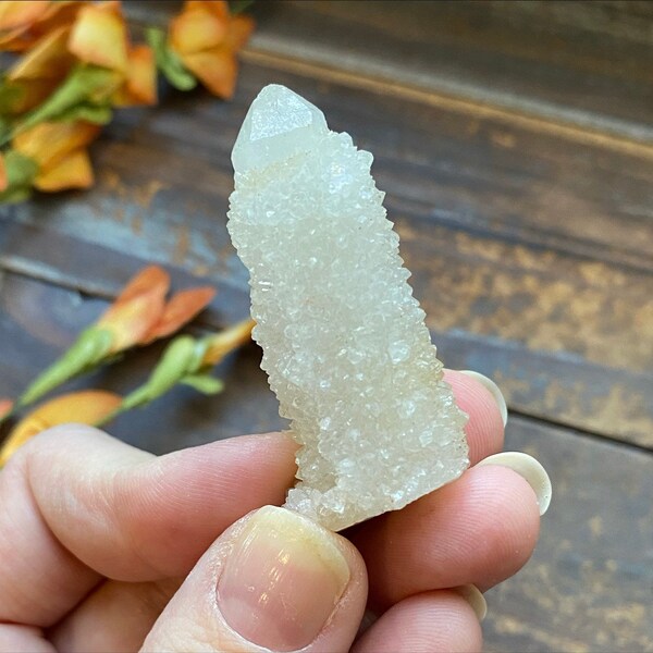 Spirit Quartz / Cactus Quartz- Crystals