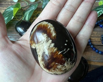 Pietre di palma in ambra baltica autentica - Cristalli