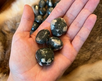 Preseli Bluestone (Stonehenge Stone) - Crystals