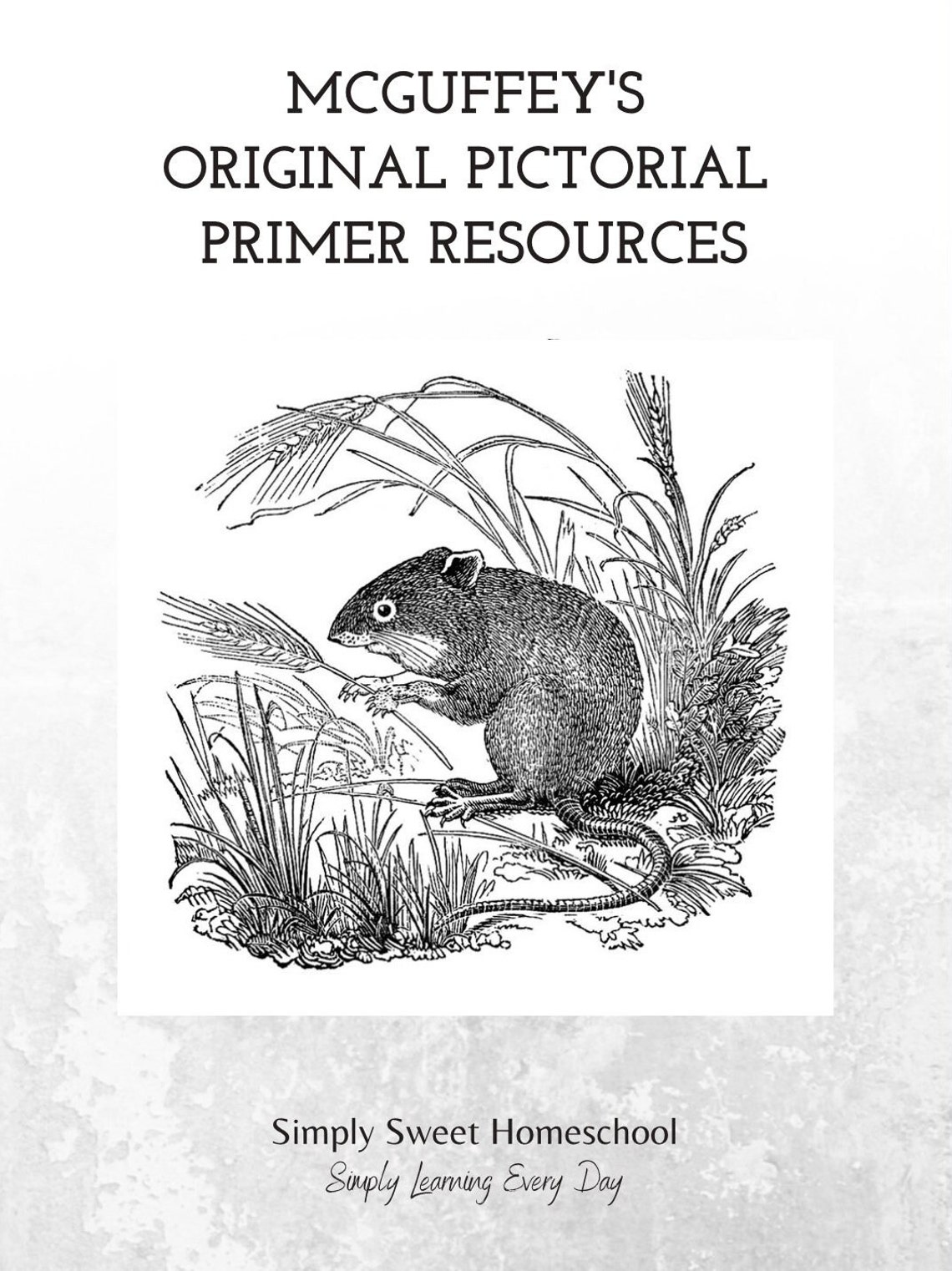 Mcguffey's Original Pictorial Primer Flashcards and Guide - Etsy