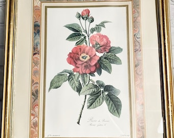 Vintage Rose Print in Frame