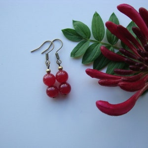 Red jade earrings