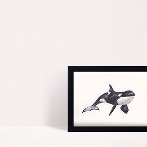 Orca/Killer Whale Watercolour - DIGITAL/DOWNLOADABLE/PRINTABLE