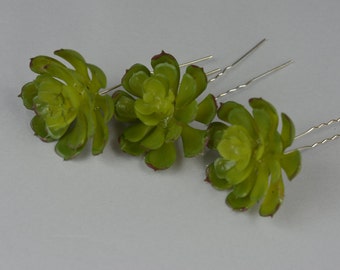 SALE Set of 3 Succulent Hair Pins  Wedding Hair Pins  Wedding  Bridal Flower Pins