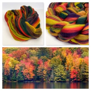 Signature Custom Blend 100% Merino Wool Combed Top 'New Hampshire' green orange purple yellow Spinning Felting Roving Fiber - Ready to Ship!