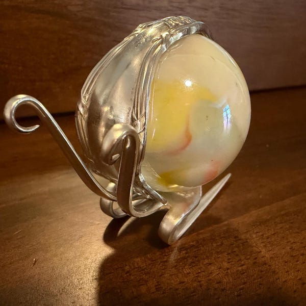 Marble Fork Snail