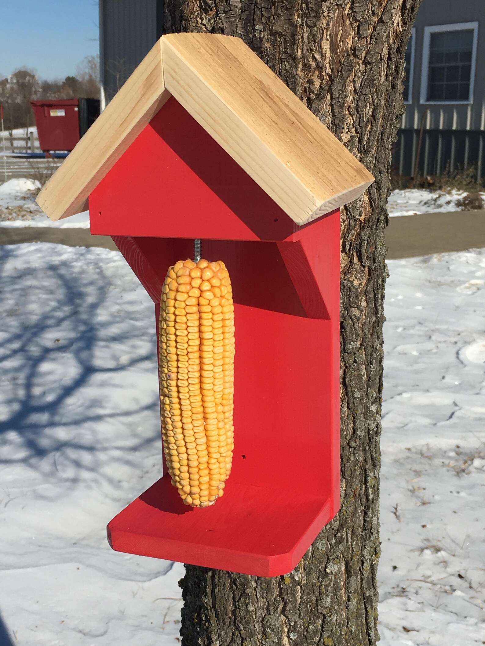 Squirrel Feeder Etsy