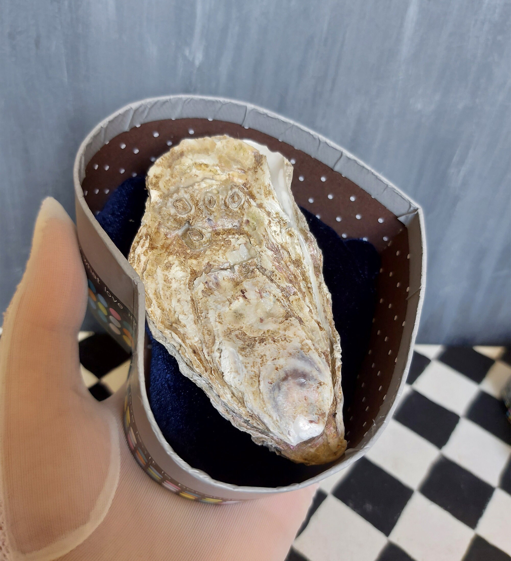 Auster in der Muschel Sammlerstück seltsame Artfigurine | Etsy