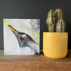 Penguin card, Penguin picture, Penguin drawing,
