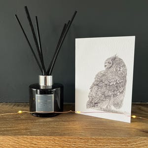 Unique Owl illustration card - ideal for birthdays & special occasions. Owl card, Owl picture, Owl drawing, Owl pencil drawing card.
