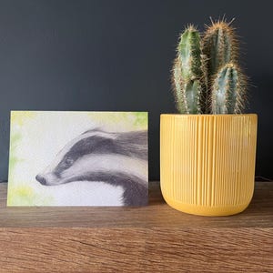 Tarjeta de tejón en acuarela / Tarjeta de tejón / Tarjeta en blanco / Dibujo de tejón / Ilustración de tejón