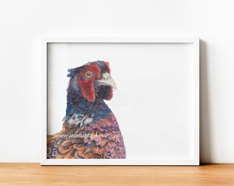 Pheasant Pencil Drawing Art Print – Detailed Wildlife Illustration Wall Art | Pheasant Print | Pheasant Art | Pheasant Drawing