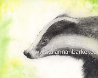 Aquarelprint dassen, dierenkunst in beperkte oplage