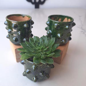 May include: Three ceramic succulent planters with a dark green glaze and spiky exterior. One planter holds a green succulent plant. The planters are displayed on small wooden blocks. The interior of the planters is a natural terracotta color.