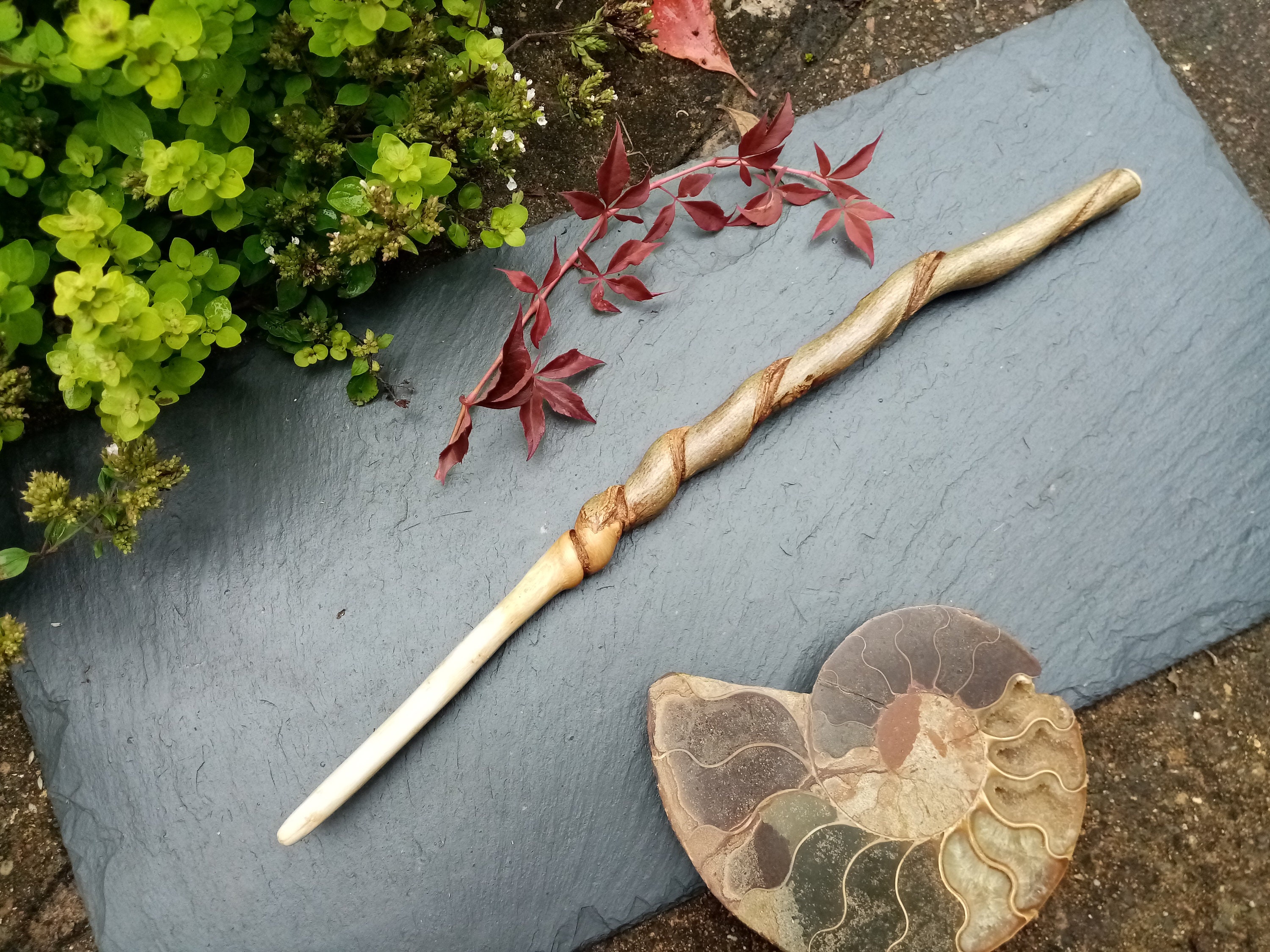 Magic Wand Crystal,chicken Foot,hoodoo Voodoo,witch Wand,occult Wand,cosplay  Wand,dungeons and Dragons,dragon Evil Eye Gothic,magic Ritual 