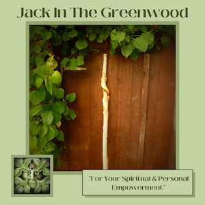 Ceremonial staff in Sycamore wood with natural vine twist.