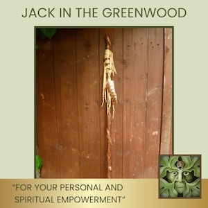Spiritual Staff in Sycamore wood with natural vine twist and leather tassels.