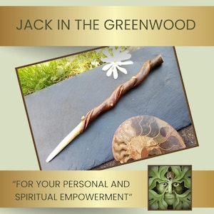 Wand in Sycamore wood with natural vine twist.