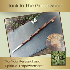 Wand in Sycamore wood with natural vine twist.