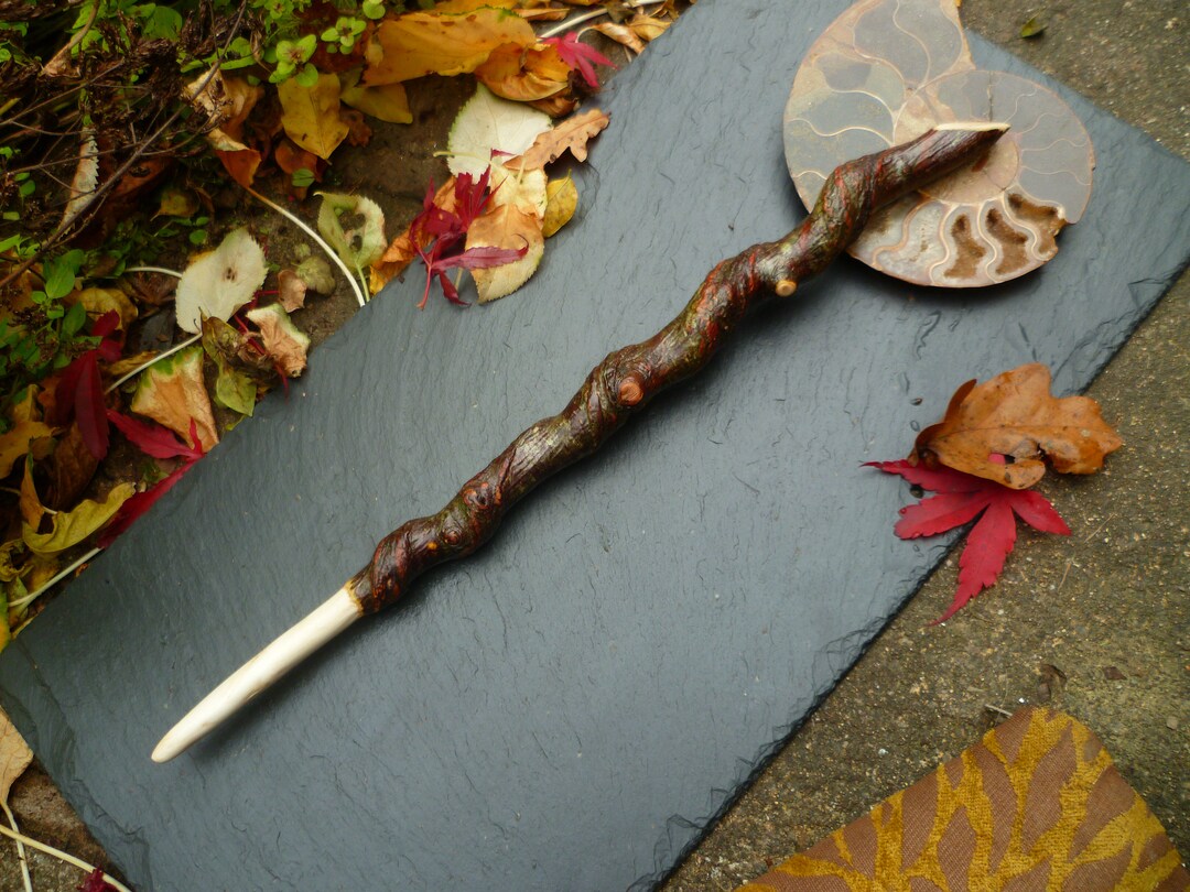 Wand in Birch Wood With Natural Vine Twist. Etsy