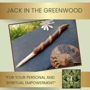 Wand in Sycamore wood with natural vine twist.