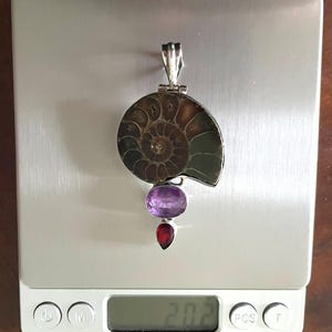 Peut inclure: Pendentif en argent avec une ammonite fossilis&eacute;e, une am&eacute;thyste violette et des grenats rouges. Le pendentif est sur une balance num&eacute;rique qui affiche 2,02.