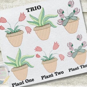 Plant Sketch Stitch Collection Set Digital Machine Embroidery Design