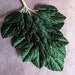 see more listings in the Green Flowers & Leaves section