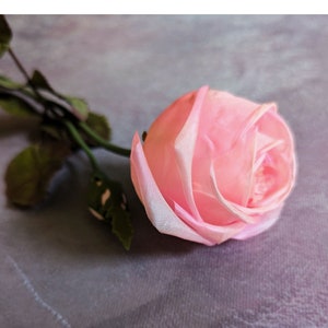 May include: A close-up of a pink rose with a gradient of light pink and white on the petals. The rose is in full bloom, with a green stem and leaves. The background is a muted purple-grey.