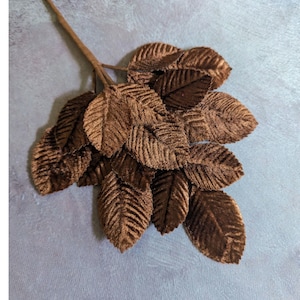 May include: A bunch of brown velvet leaves with a wire stem. The leaves are arranged in a cluster and have a soft, velvety texture.