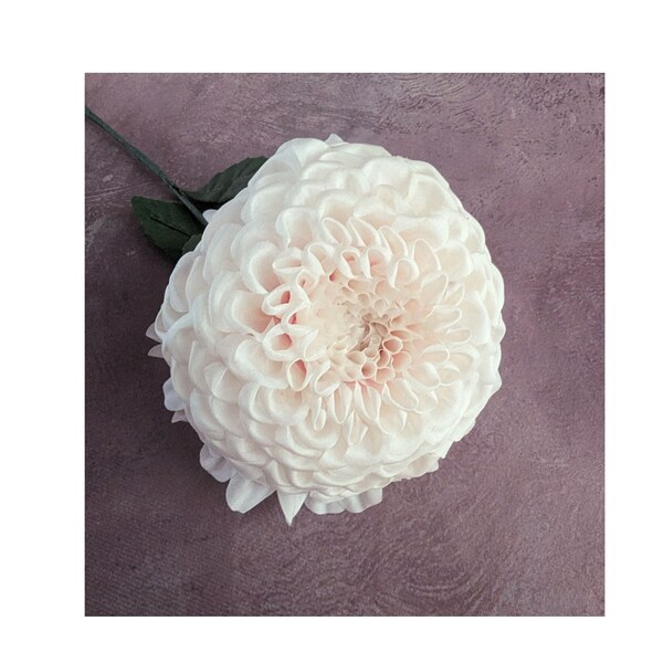Große 11,5 cm weiße Dahlie Seidenblume mit langem Stiel, rosa, pink und rosa Dahlie