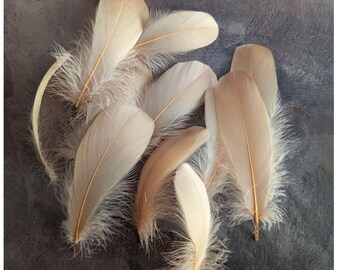Beige Nagorie Goose Feathers Millinery Trim for Hats Fascinators Crafts Costumes Set of 12