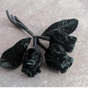 May include: A bouquet of five black velvet roses with a wire stem.