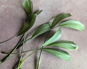 10 Olive Green Stripped Coque Feathers Small Dyed and Trimmed Millinery for Hats Fascinators Crafts Costumes