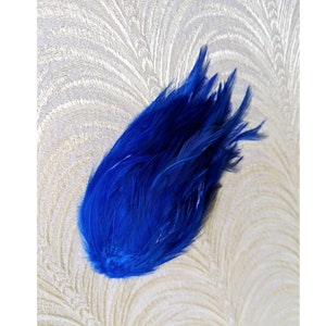 May include: A cluster of bright blue feathers, likely for crafting or decorating.