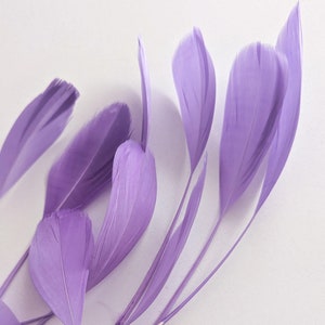 May include: A bunch of soft, lavender feathers with delicate, wispy tips. The feathers are arranged in a fan shape, with the tips pointing towards the right side of the image.