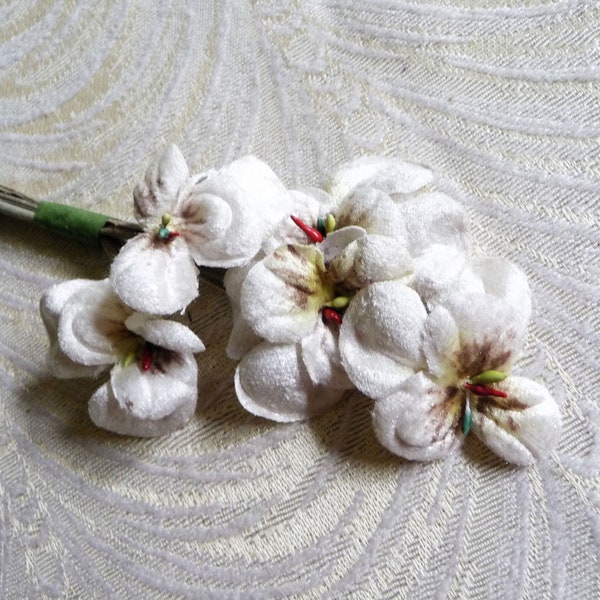 Velvet Pansies light Ivory Off White Bunch of Five Old Fashioned Millinery Bouquet for Hats, Bouquets, Scrapbooking 3FN0090W