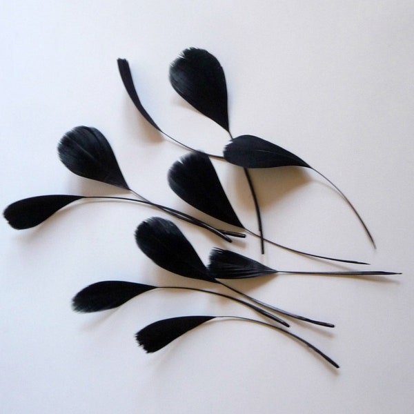 Black Stripped Coque Feathers Small Dyed and Trimmed Millinery for Hats Fascinators Crafts Masks Costumes