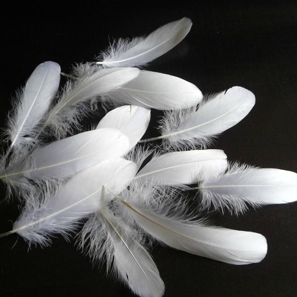 Snow White Goose Feathers Millinery Trim for Hats Fascinators Crafts Costumes Set of 12