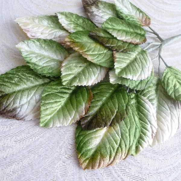 Larger Leaf Velvet Leaves Green Ivory Beige Brown Ombre Millinery Beautiful Spray of 18 for Hats Scrapbooking, Fascinators Crafts