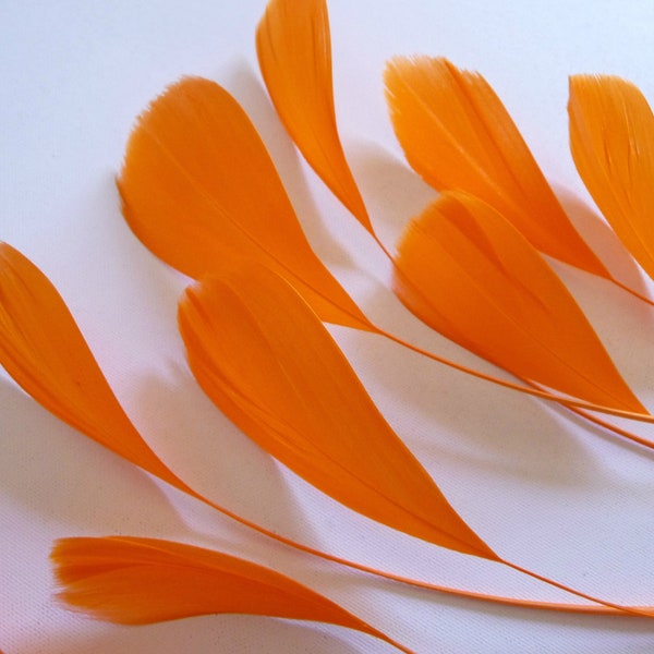 Orange Stripped Coque Feathers Dyed and Trimmed Millinery for Hats Fascinators Crafts Masks Costumes