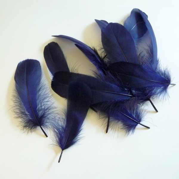 Navy Blue Nagorie Goose Feathers Millinery Trim for Hats Fascinators Crafts Costumes Set of 12