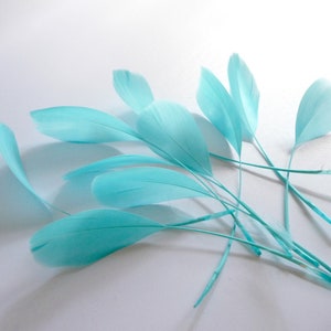 Light Turquoise Blue Stripped Coque Feathers Small Dyed and Trimmed Millinery for Hats Fascinators Crafts Masks Costumes