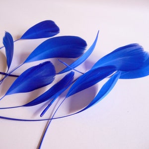 Royal Blue Stripped Coque Feathers Small Cobalt Dyed and Trimmed Millinery for Hats Fascinators Crafts Masks Costumes image 1
