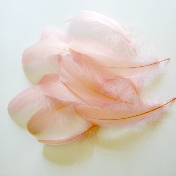 Rose Pink Nagorie Goose Feathers Millinery Trim for Hats Fascinators Crafts Costumes Set of 12