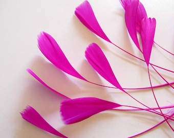 10 Fuchsia Pink Stripped Coque Feathers Dyed and Trimmed Magenta Millinery for Hats Fascinators Crafts Masks Costumes