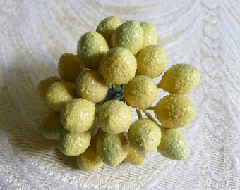 VENTE vintage citrons 24 décoration fruits bouquet de fruits jaunes NOS filé coton pour chapeaux artisanat garniture de corsage F15