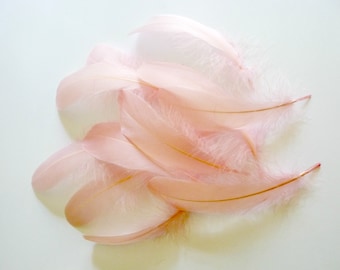 Rose Pink Nagorie Goose Feathers Millinery Trim for Hats Fascinators Crafts Costumes Set of 12