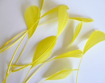 10 Bright Yellow Stripped Coque Feathers Small Dyed and Trimmed Millinery for Hats Fascinators Crafts Masks Costumes